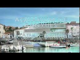 Aquarium Banyuls sur Mer